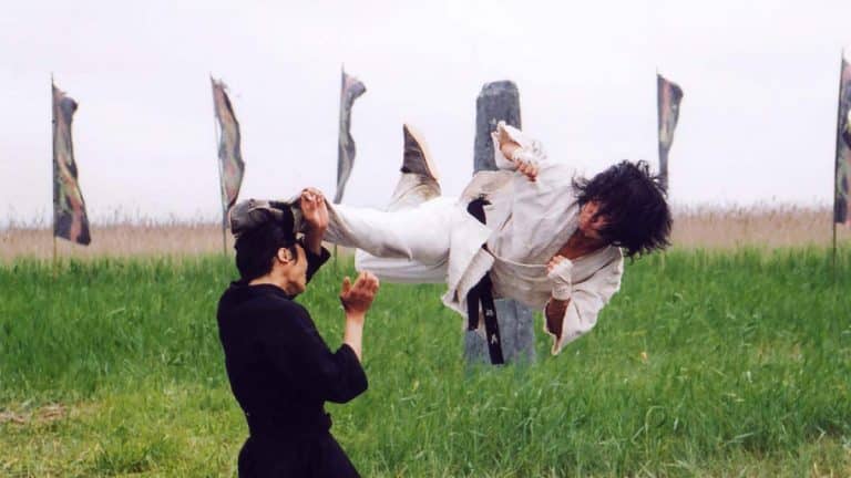 Critique : Fighter in the Wind, un film de combat inégal mais prenant