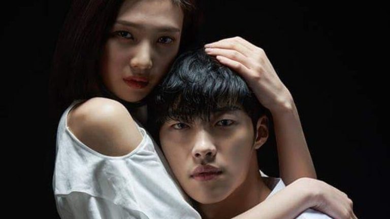 The Great Seducer : liaison dangereuse avec Woo Do Hwan