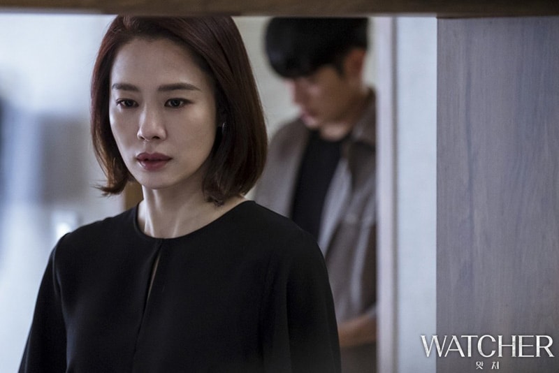 Kim Hyun Joo (Watcher)