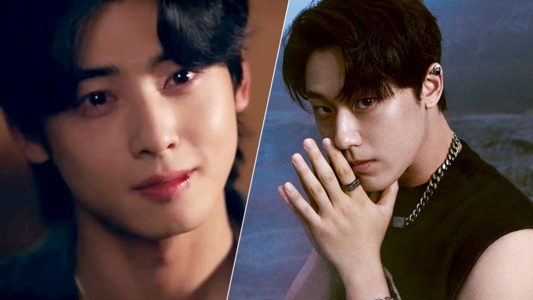Photo Cha Eun Woo, Lee Do Hyun